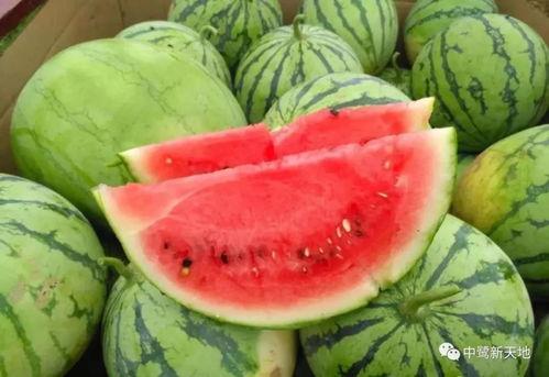 今日份的吃瓜,娱乐圈最新热点事件大盘点