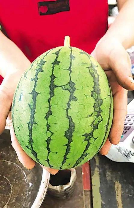 青岛潍坊网红吃瓜事件,一场网络舆论的风暴与反思